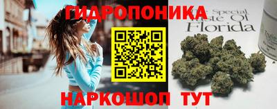 индика Рыбинск