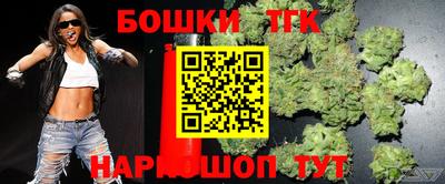 индика Рыбинск