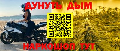 индика Рыбинск