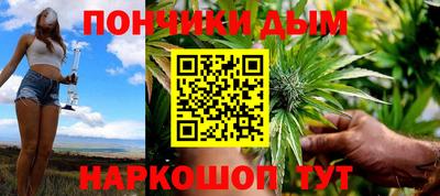 индика Рыбинск