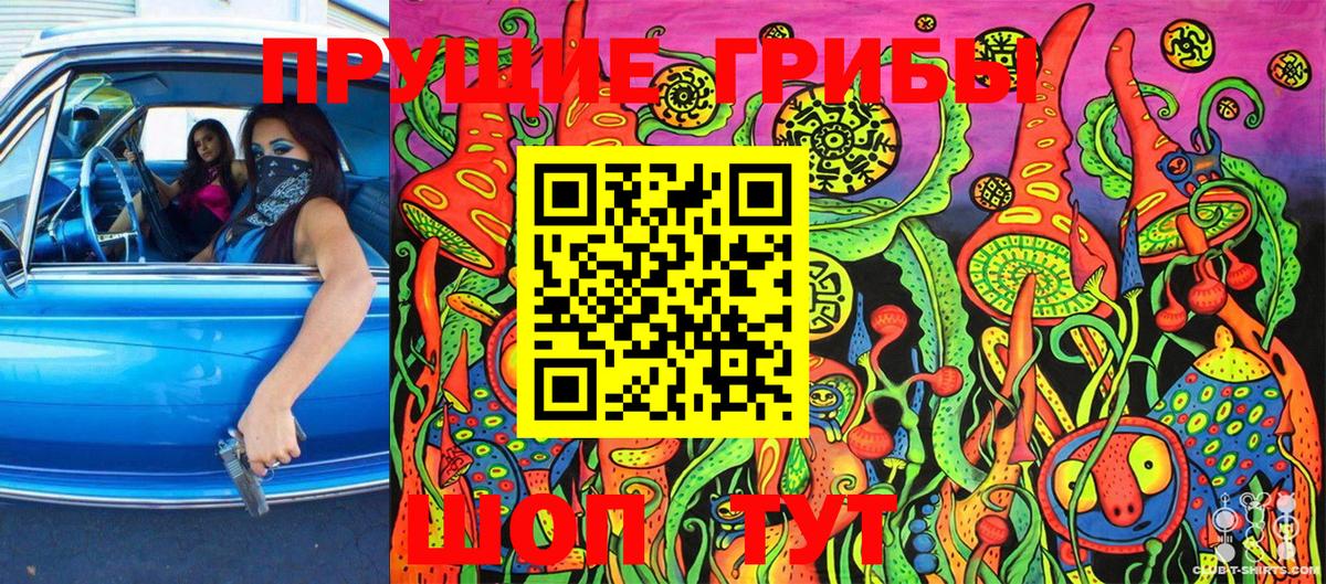 Галлюциногенные грибы Psilocybine cubensis Нижний Тагил