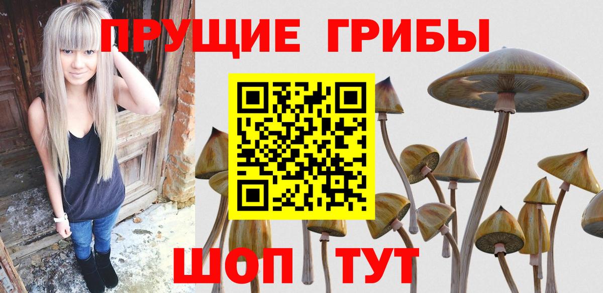 Галлюциногенные грибы GOLDEN TEACHER  Вход с VPN  Нижний Тагил 